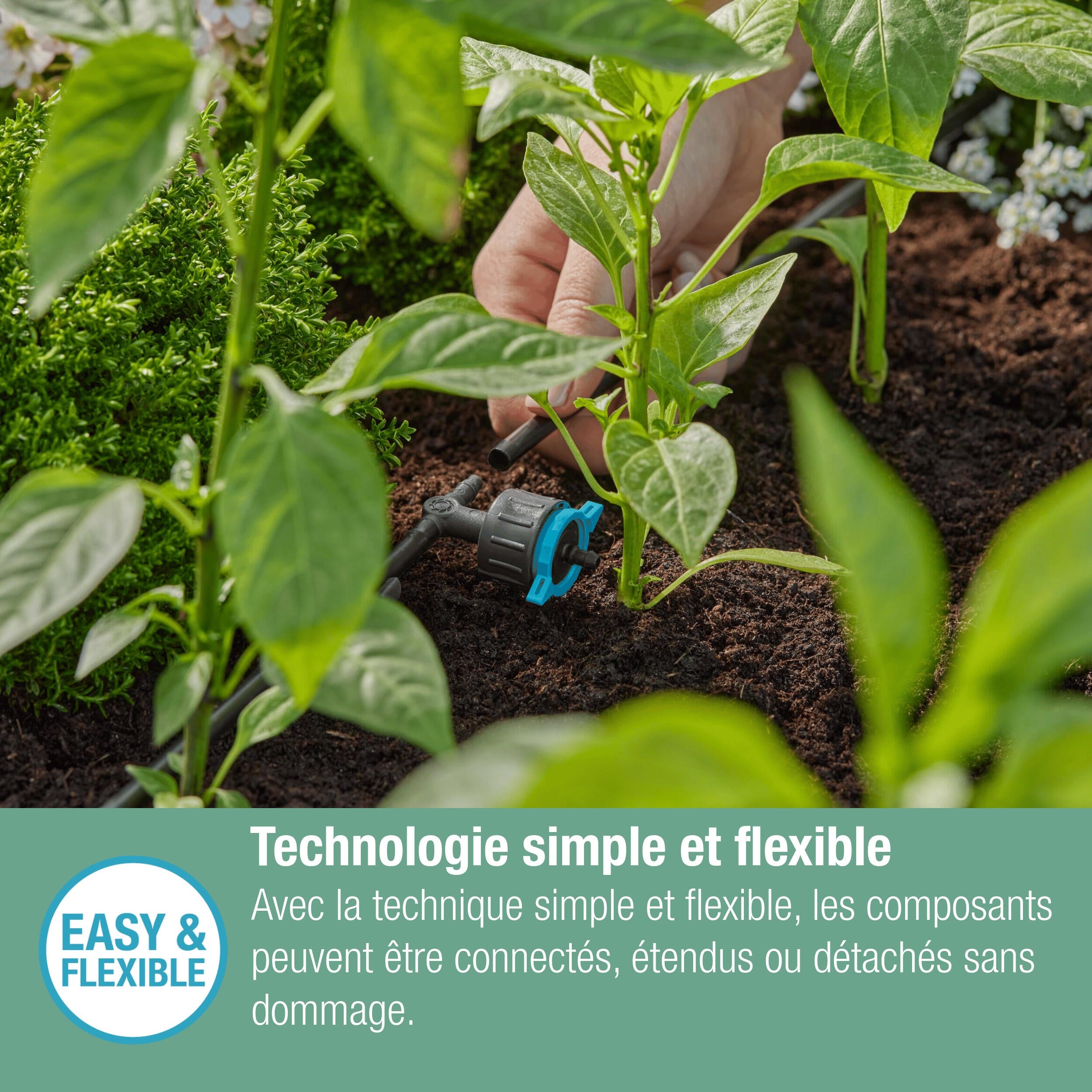 Goutteur en ligne réglable et régulateur de pression 1-8 l/h, 13314-20 GARDENA - 9