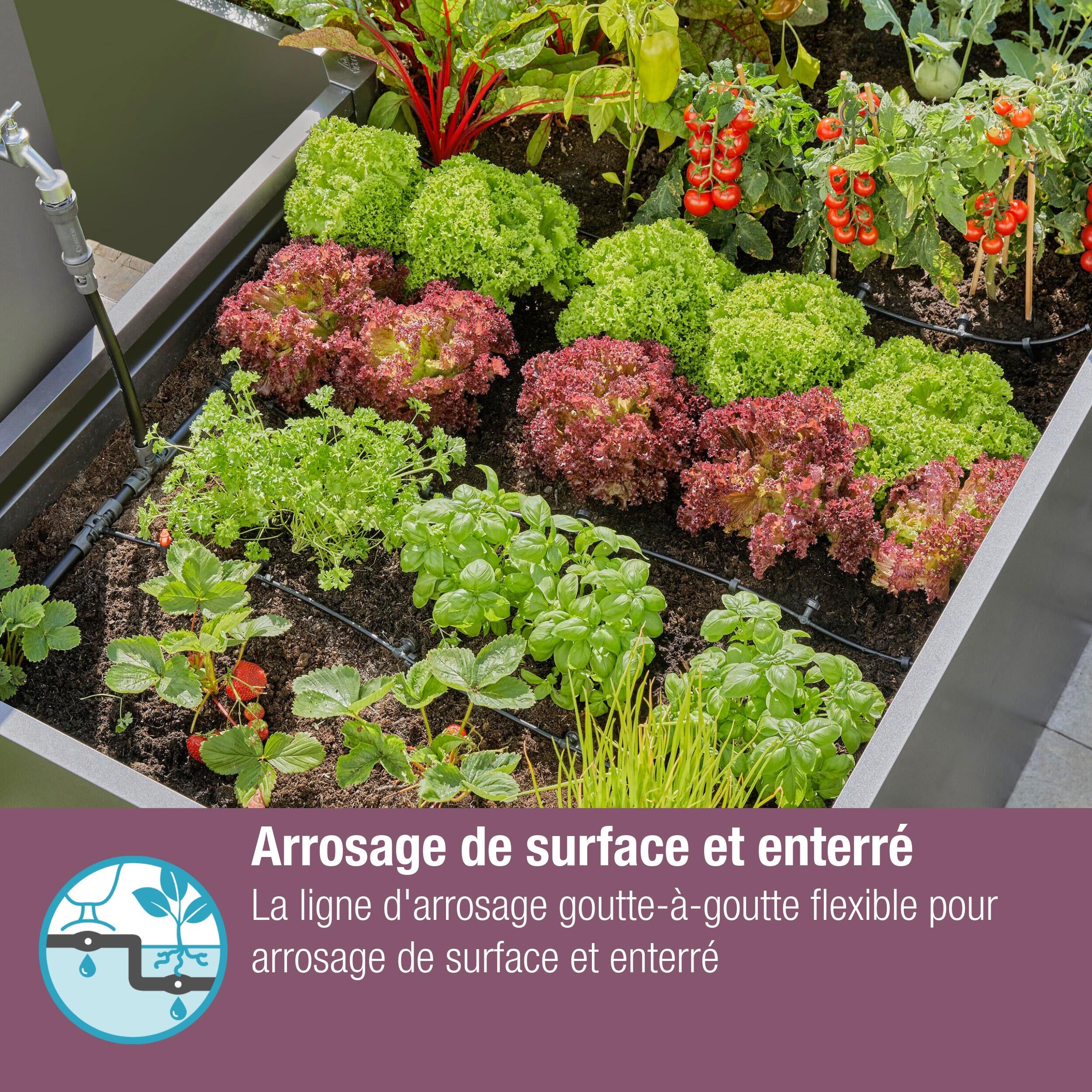 Extension de tuyau à goutteurs incorporés 25 m GARDENA 13503-20 - 5