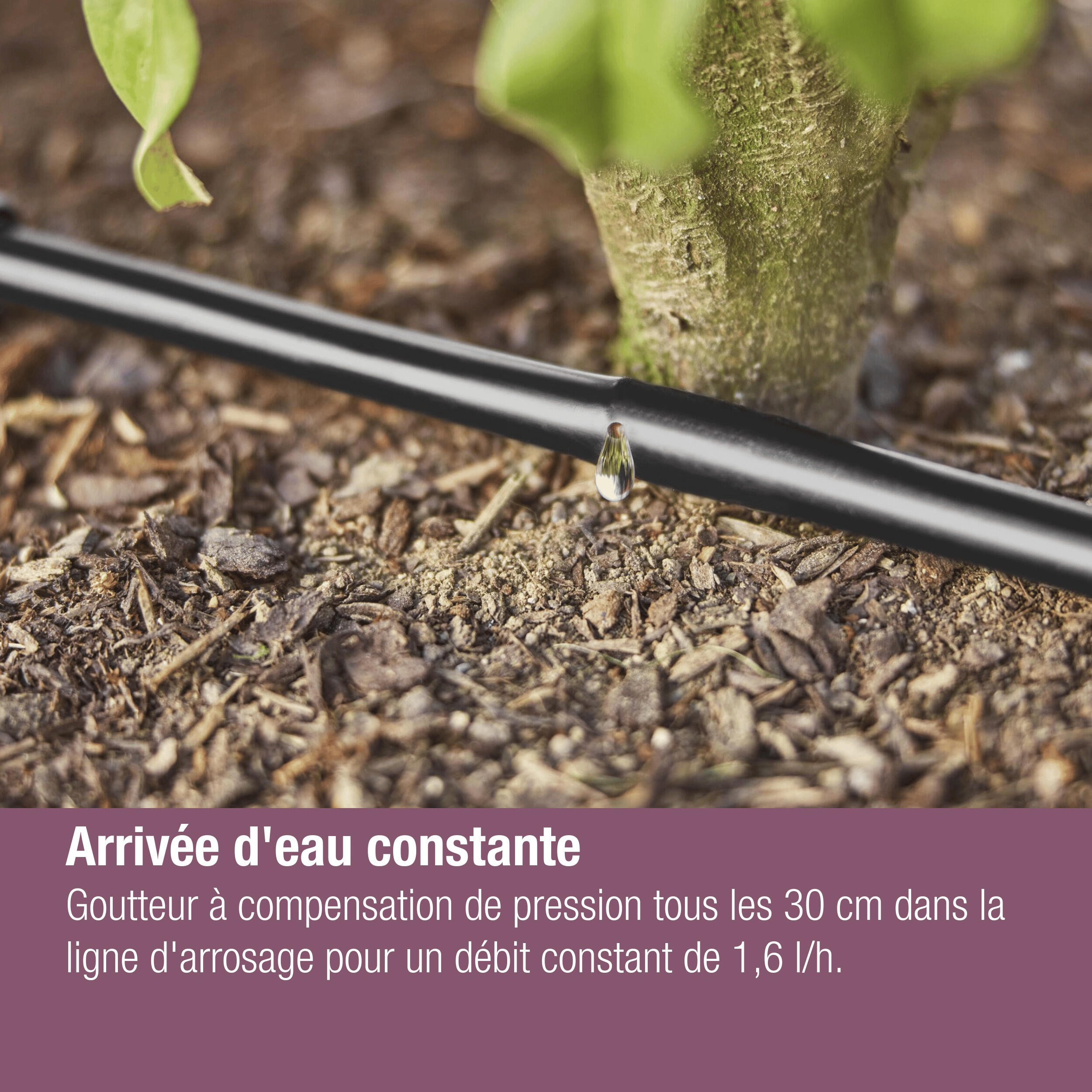 Extension de tuyau à goutteurs incorporés 25 m GARDENA 13503-20 - 6