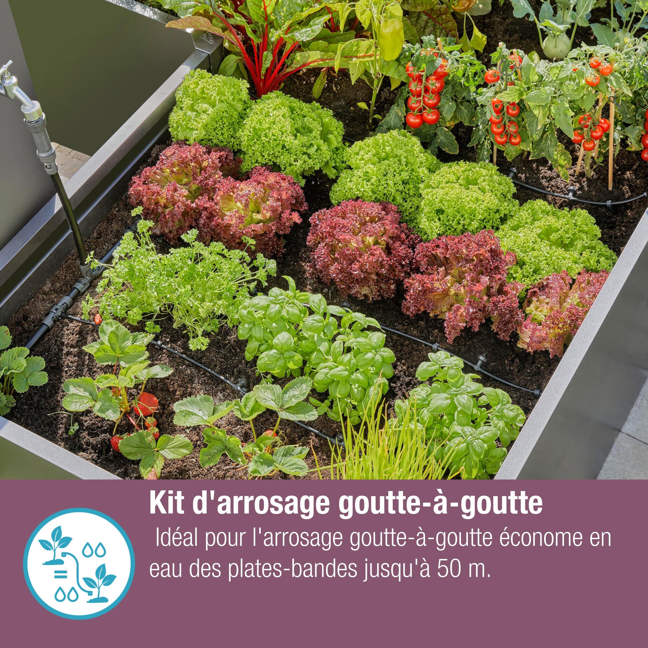 Kit d'arrosage goutte à goutte 50m avec goutteurs intégrés  GARDENA - 5