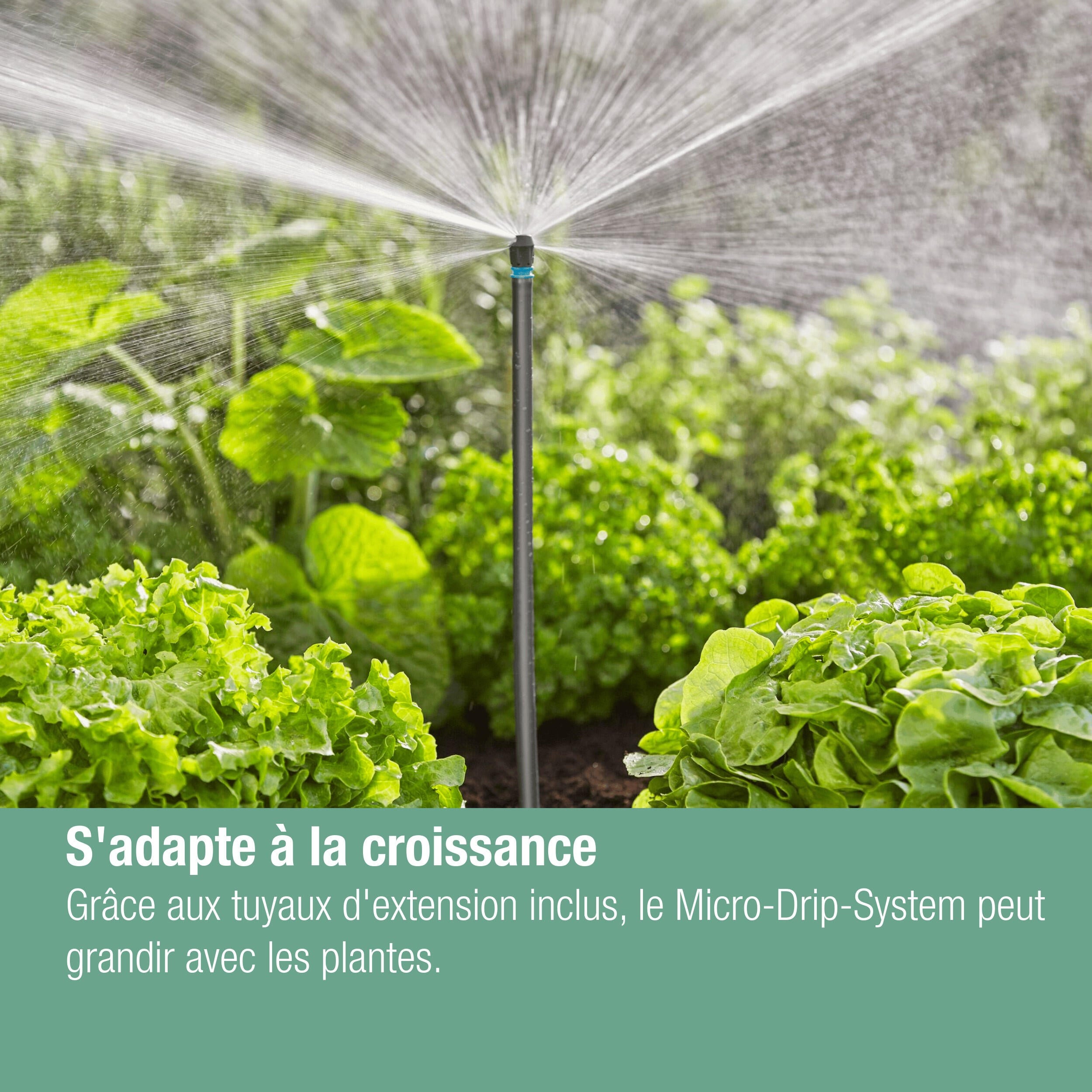 Kit d'arrosage goutte-à-goutte pour potagers jusqu'à 60 m2 GARDENA 13450-20 - 5