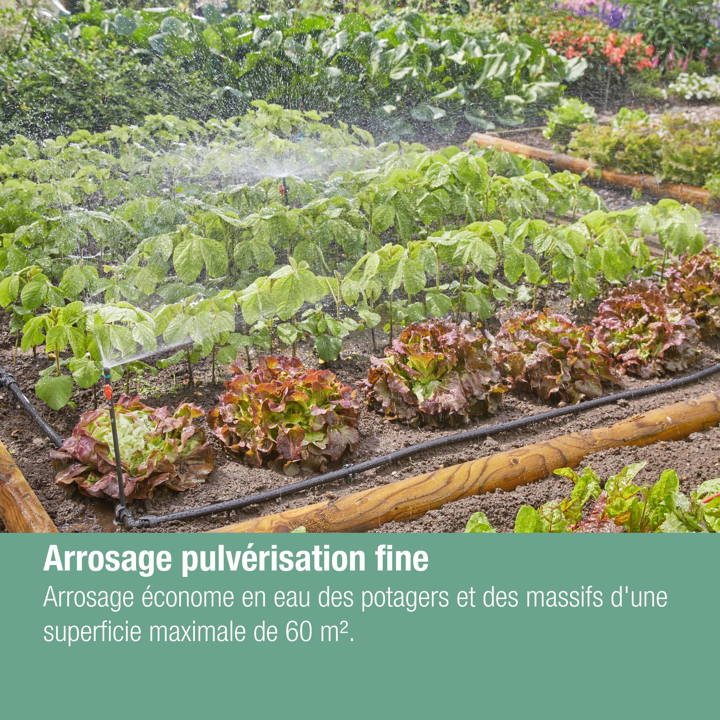 Kit d'arrosage goutte-à-goutte pour potagers jusqu'à 60 m2 GARDENA 13450-20 - 4