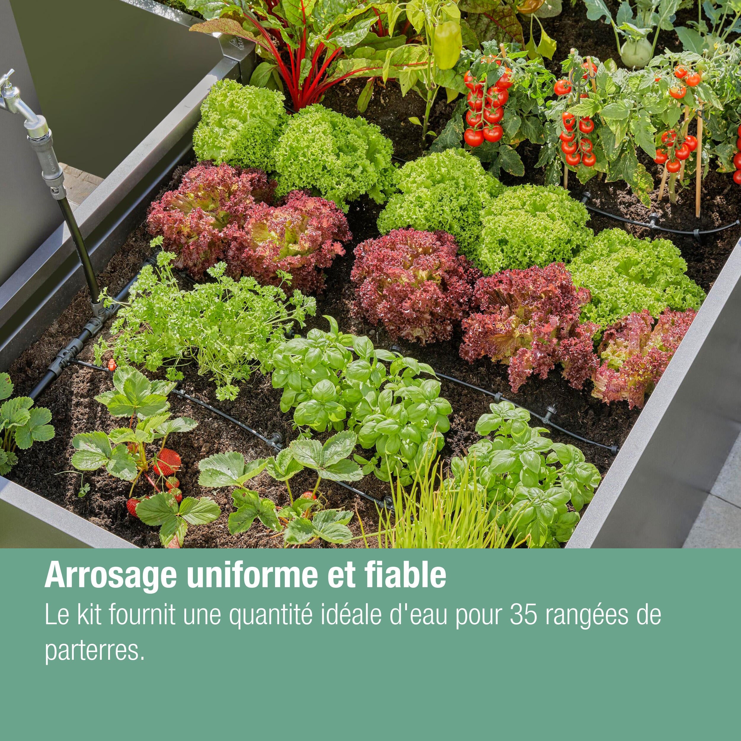Kit d'arrosage goutte-à-goutte pour parterres 35 plantes GARDENA 13455-20 - 9