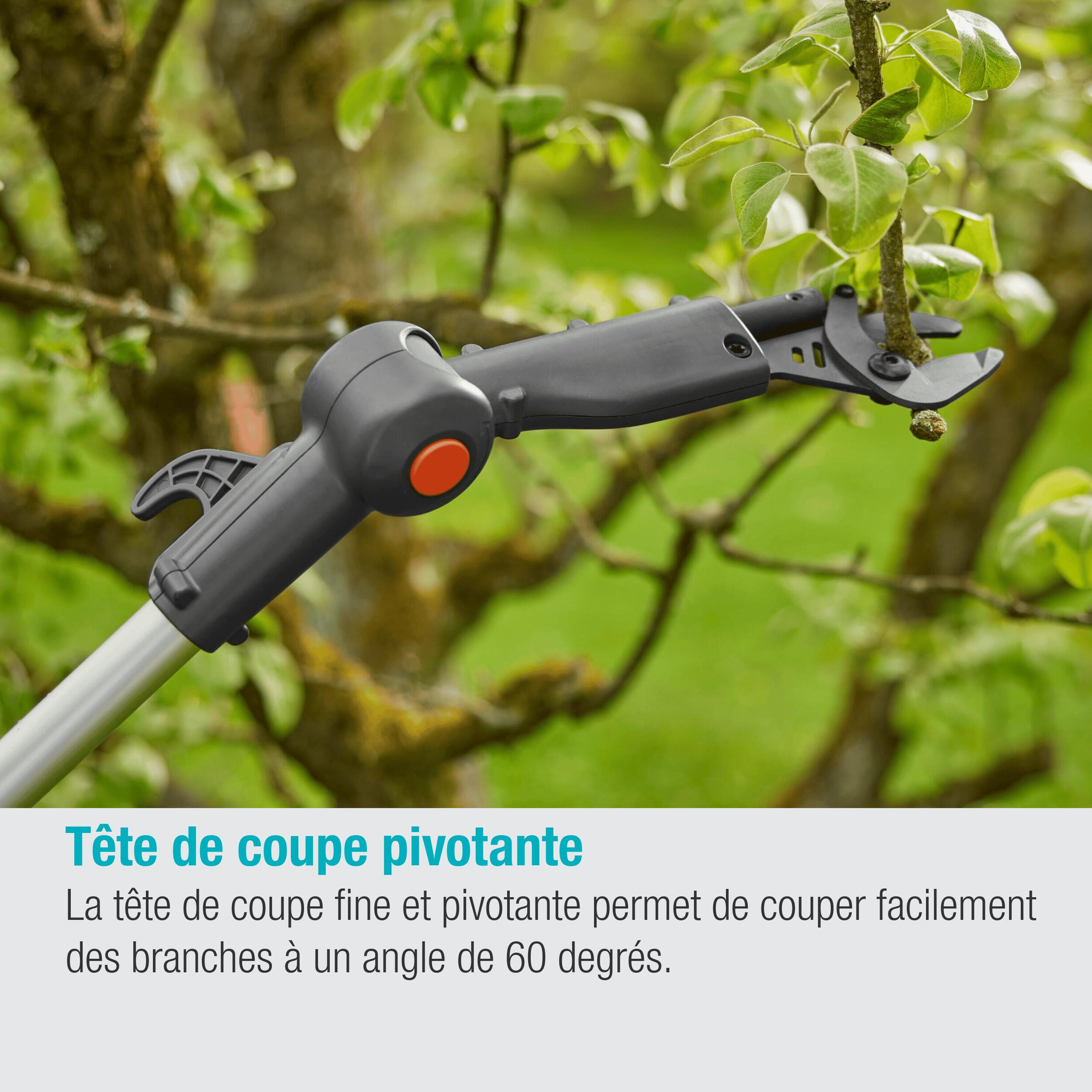 Coupe-branches HighCut GARDENA 250/18V POWER FOR ALL prêt à l'emploi 14774-20 - 7