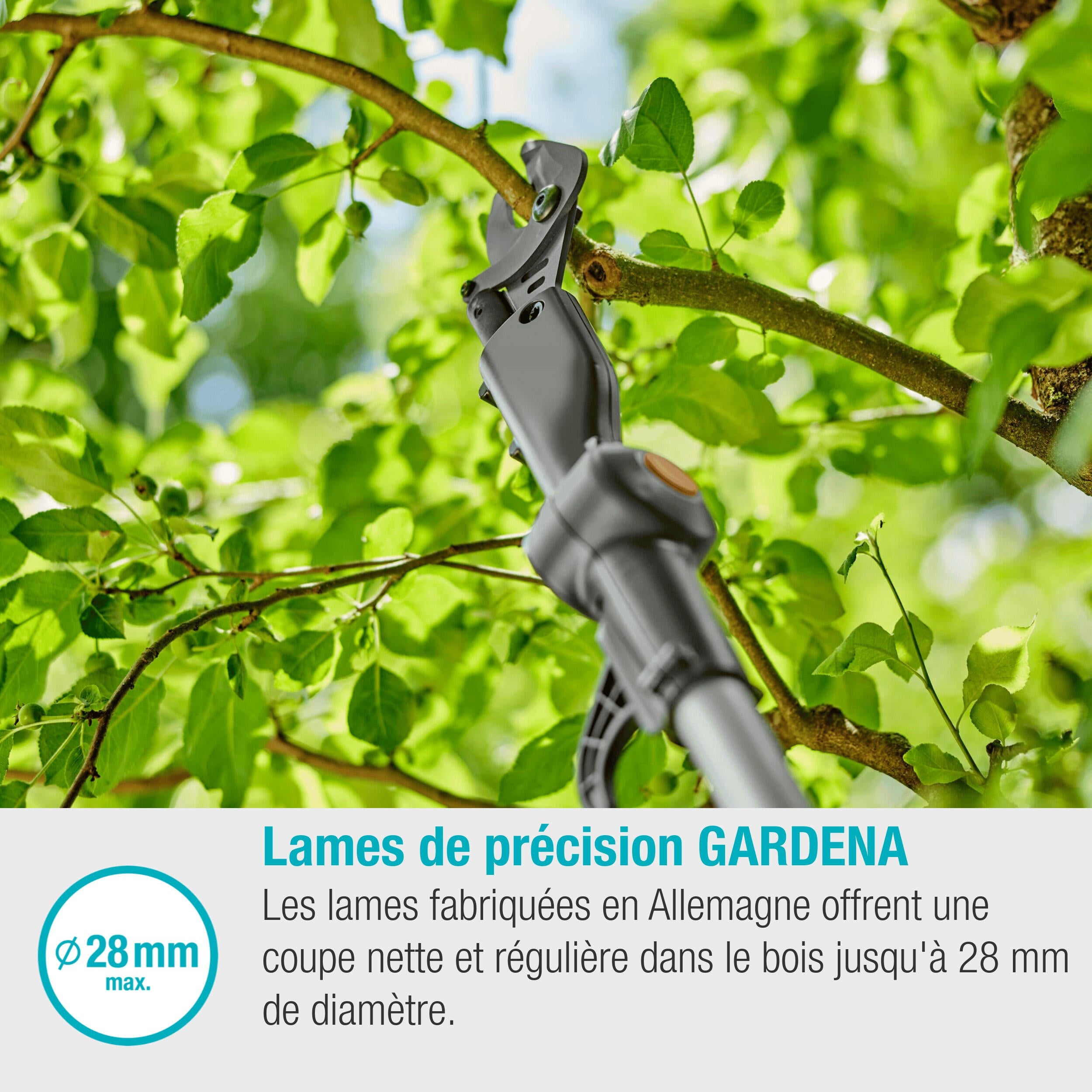 Coupe-branches HighCut GARDENA 250/18V POWER FOR ALL prêt à l'emploi 14774-20 - 5