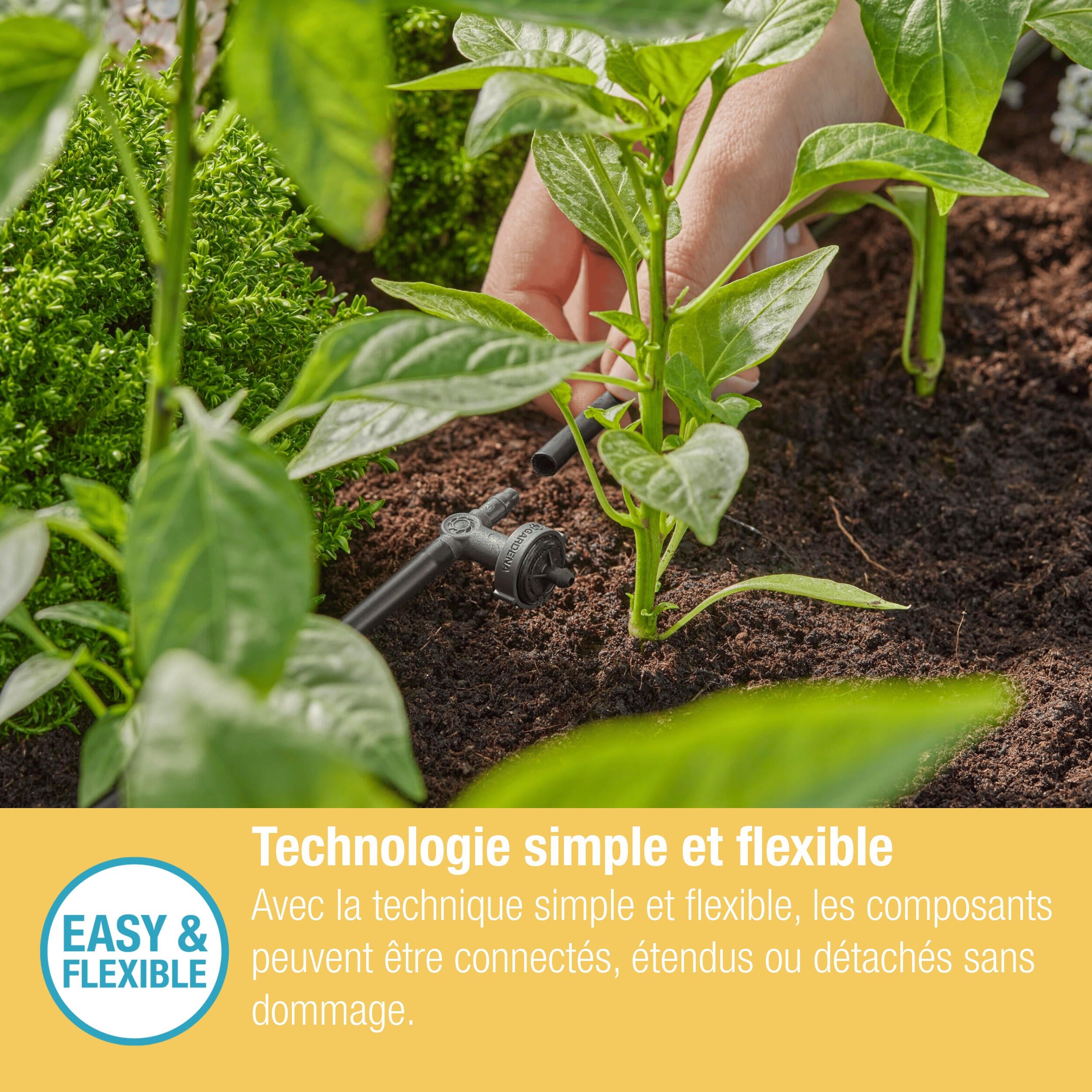 Goutteur en ligne régulateur de pression 2 l/h GARDENA 13312-20 - 9