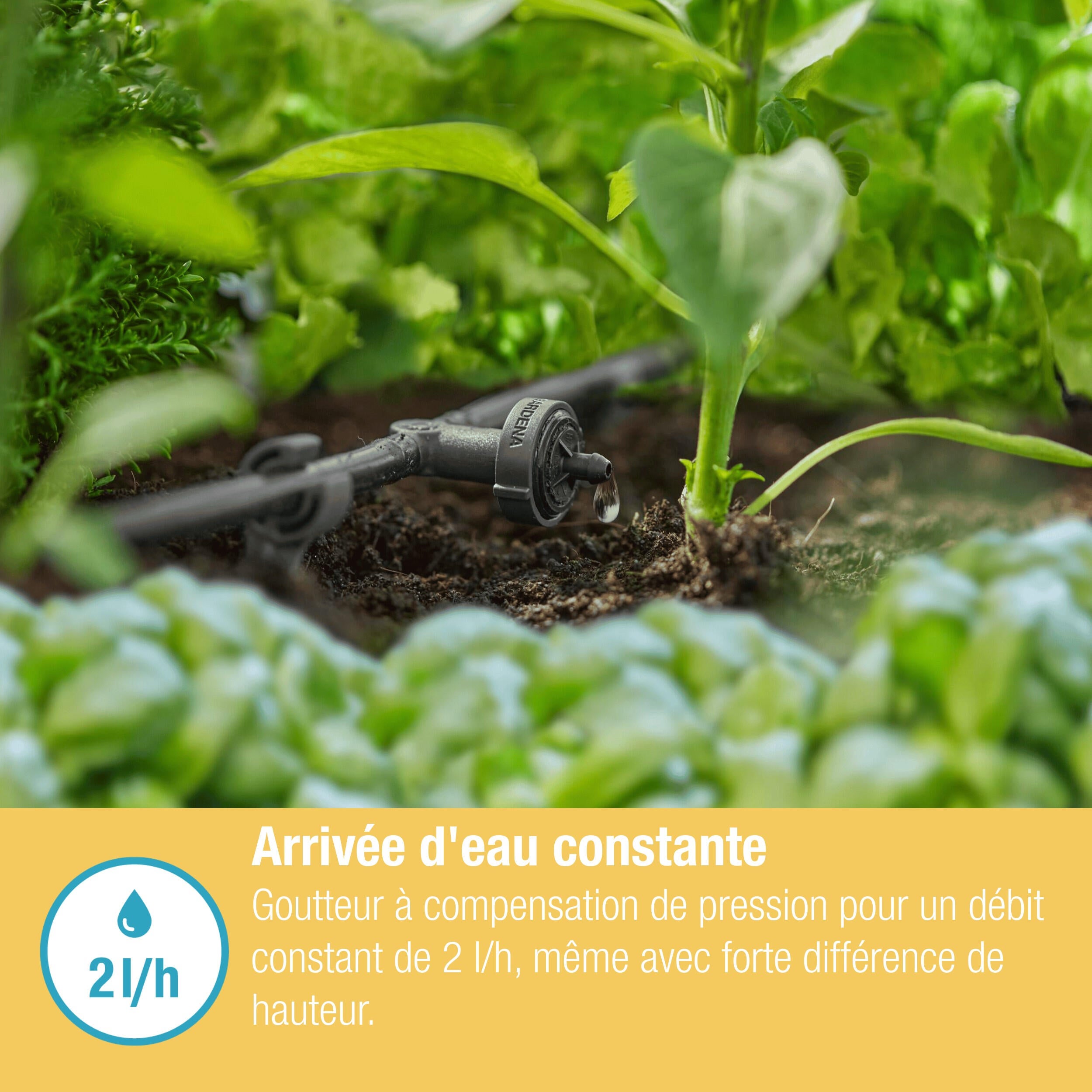 Goutteur en ligne régulateur de pression 2 l/h GARDENA 13312-20 - 7
