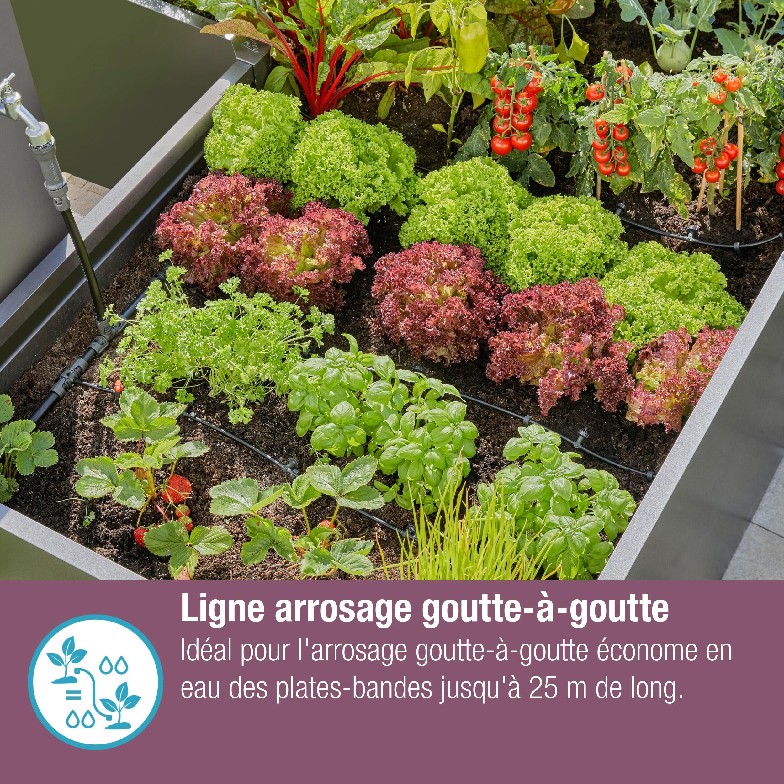 Extension de tuyau à goutteurs incorporés 25 m GARDENA 13503-20 - 4