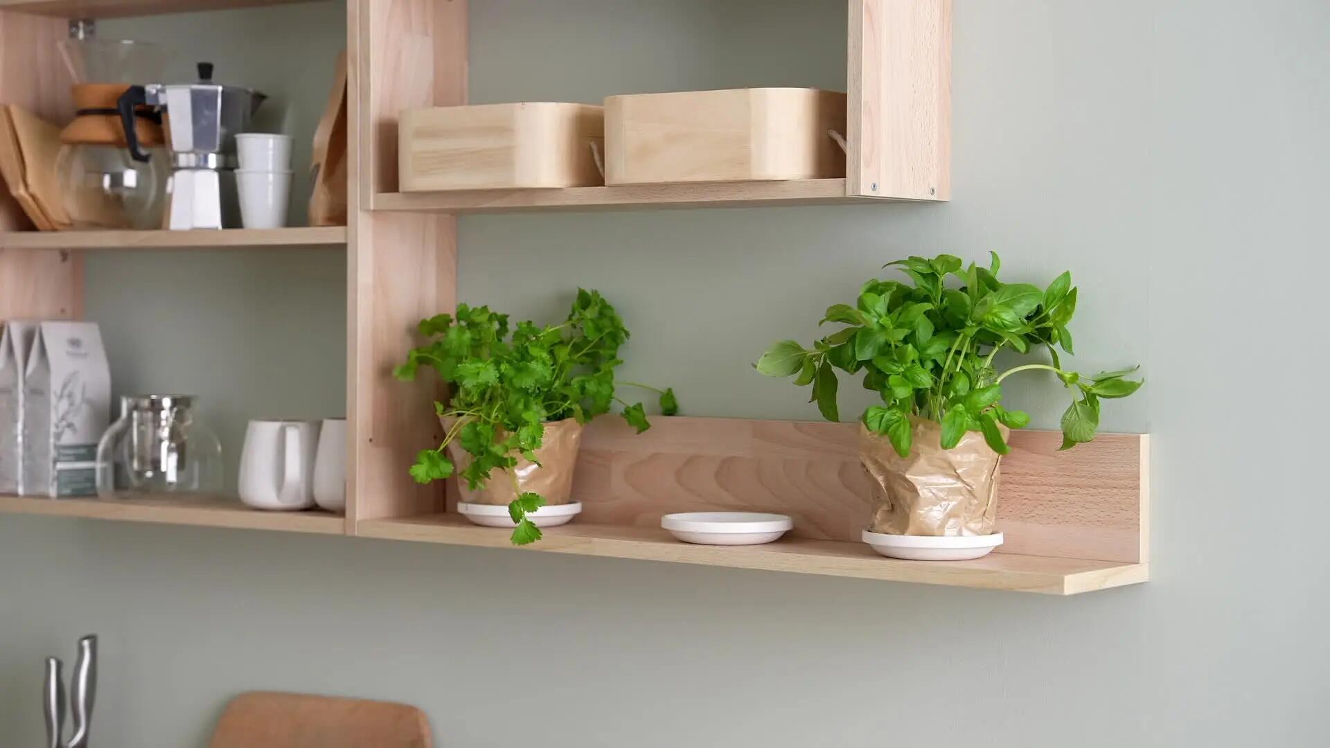 Mensola a muro Eleki Shelf a l in truciolare L 80 x P 14.5 cm faggio - 2