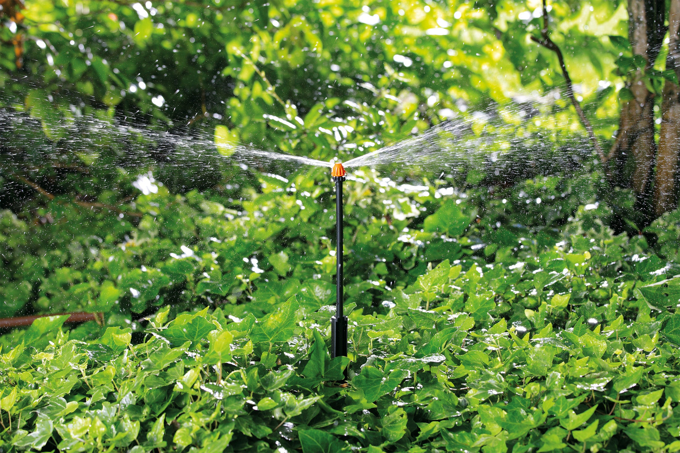 Micro-irrigatore in polipropilene CLABER Microirrigatore a striscia - 2
