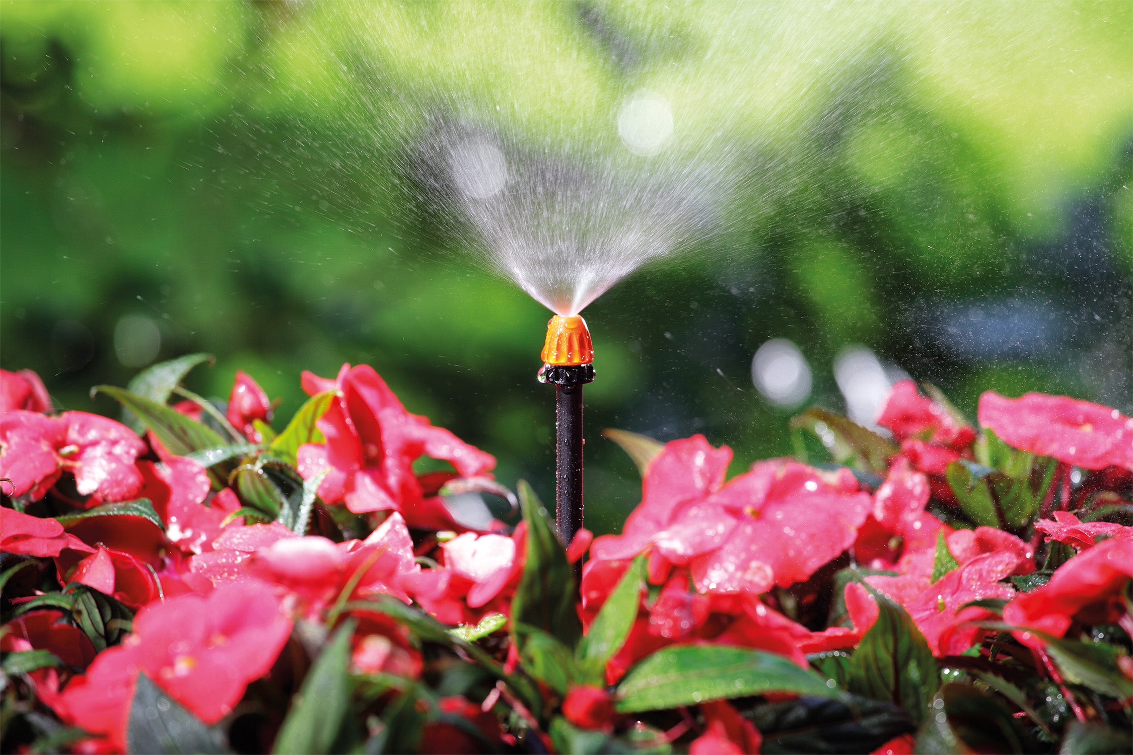 Irrigatore a nebbia in polipropilene CLABER Micronebulizzatore 360 - 2