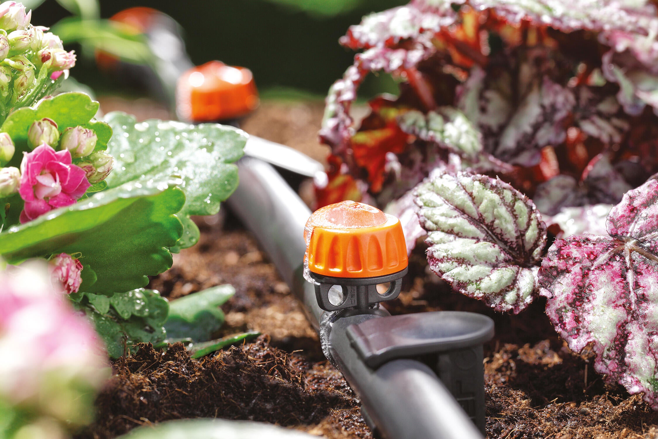 Gocciolatore fine linea in polipropilene CLABER autocompensante - 2