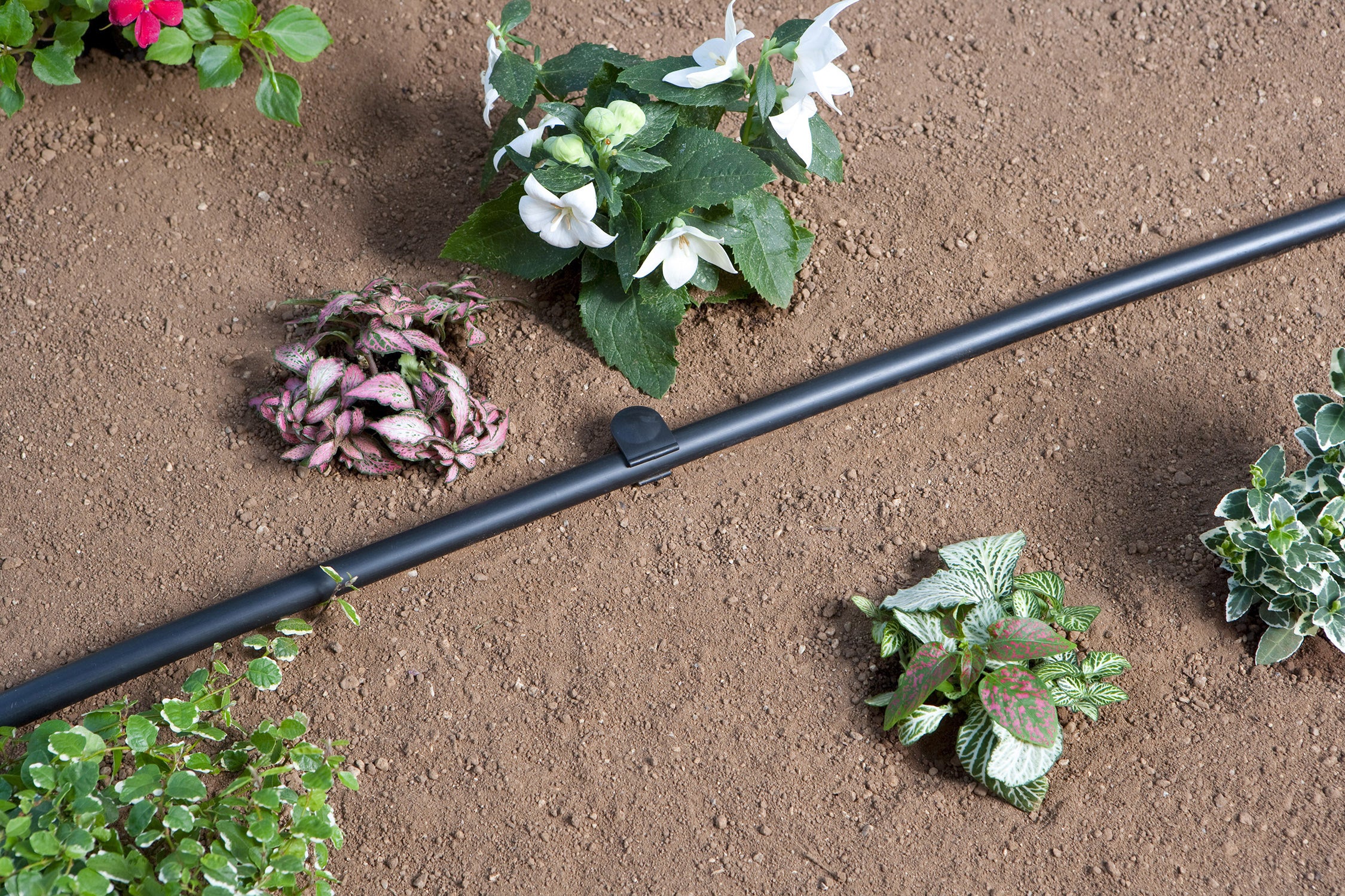 Supporto per microirrigazione CLABER in polipropilene adatto a tubi di ⌀ 16 mm 8 pezzi - 2