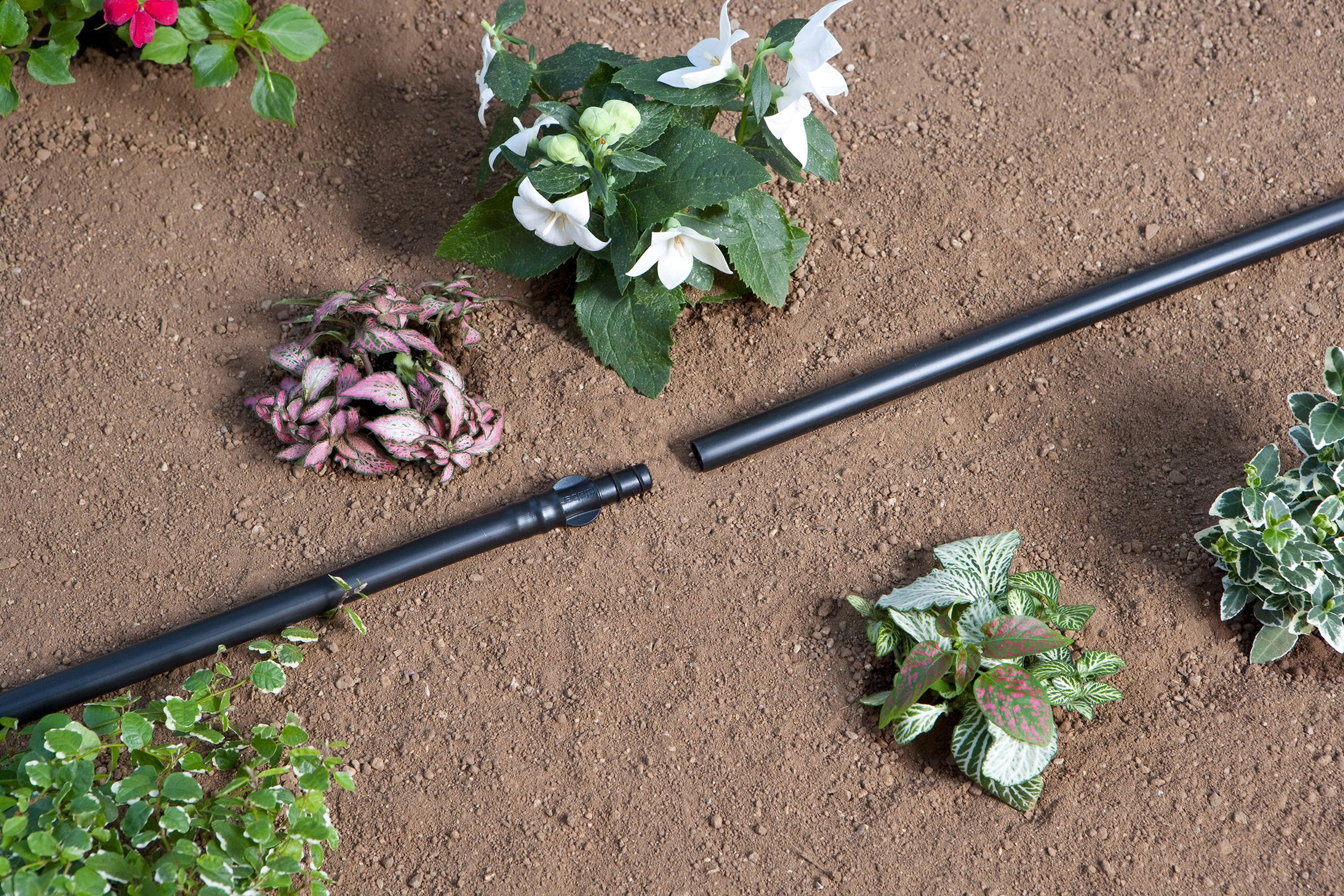 Raccordo dritto per irrigazione CLABER prolunga in abs adatto a tubi di ⌀ 16 mm, 4 pezzi - 2