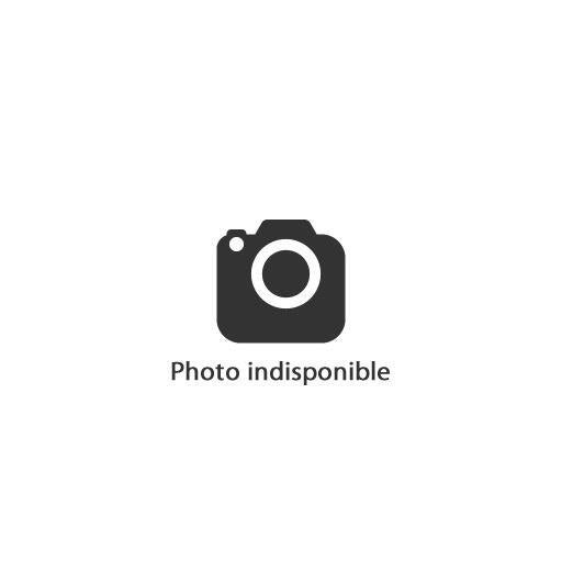 Lot de 100 joints fibres D.15 x D.21 mm Sirius - WATTS  - 4