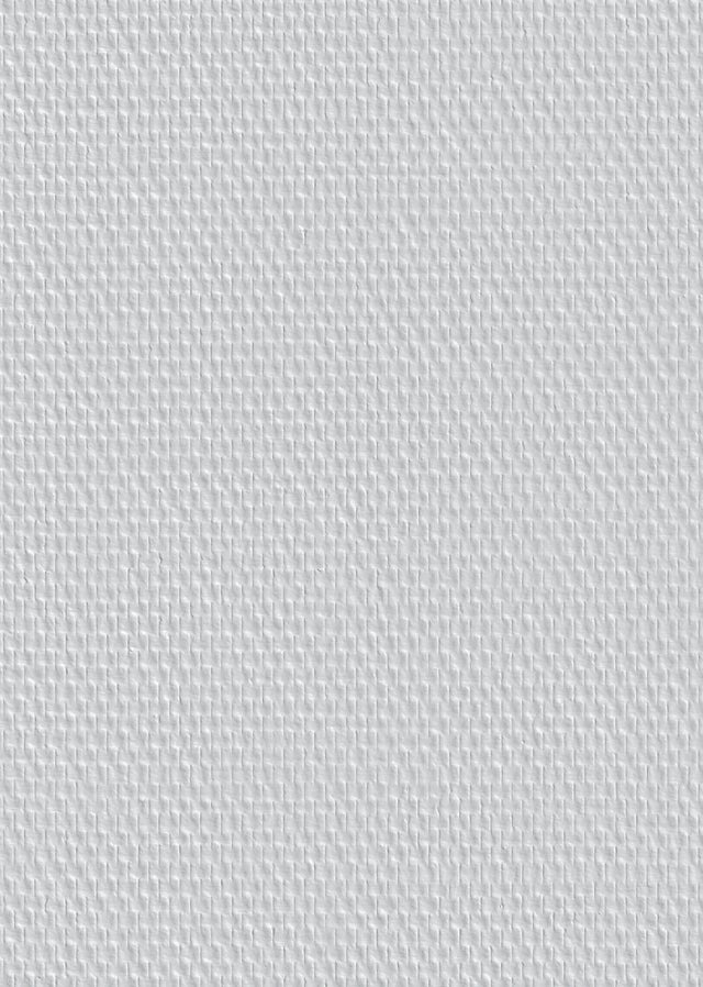 Toile de verre maille standard 115g/m² l.1 x L.50 m G135N - TASSOGLAS