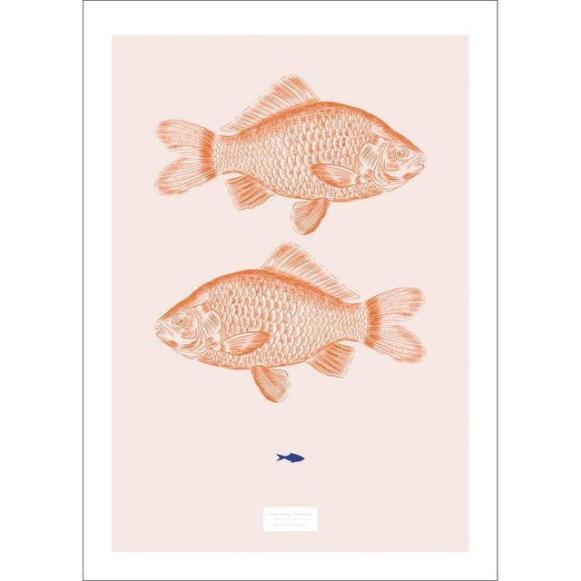 Affiche Fish bis, assorti BLUE ART l.40 x H.30 cm