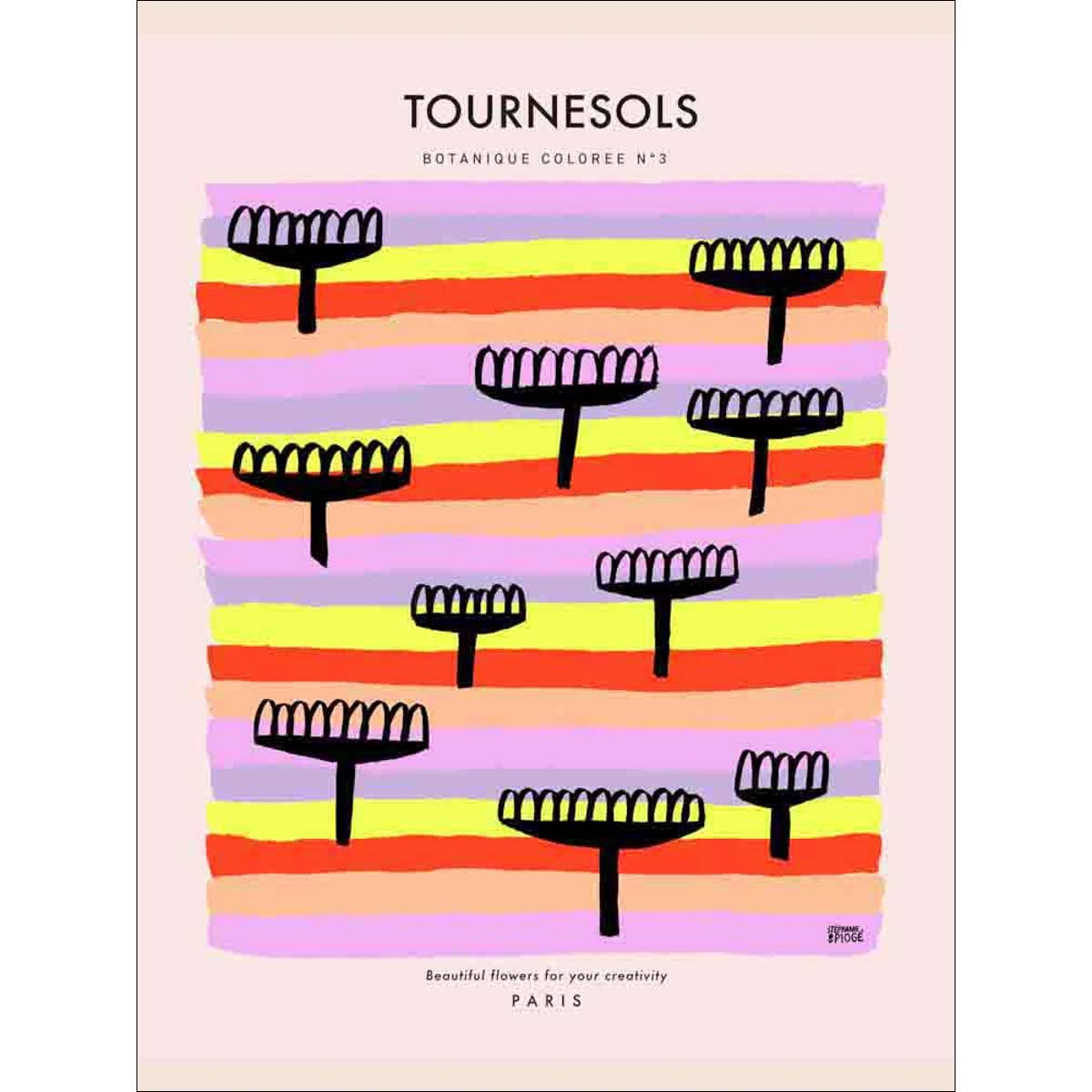 Pneu Vélo Urbain ALTA Cordoba 700x40c - Flanc Gumme Noir - Semi-lisse - Pression 35-65 PSI - Pour Route Et Hybride