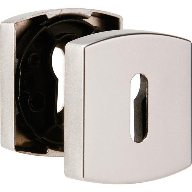 Jeu de 2 rosaces fonction muze chrome velours cylindre 