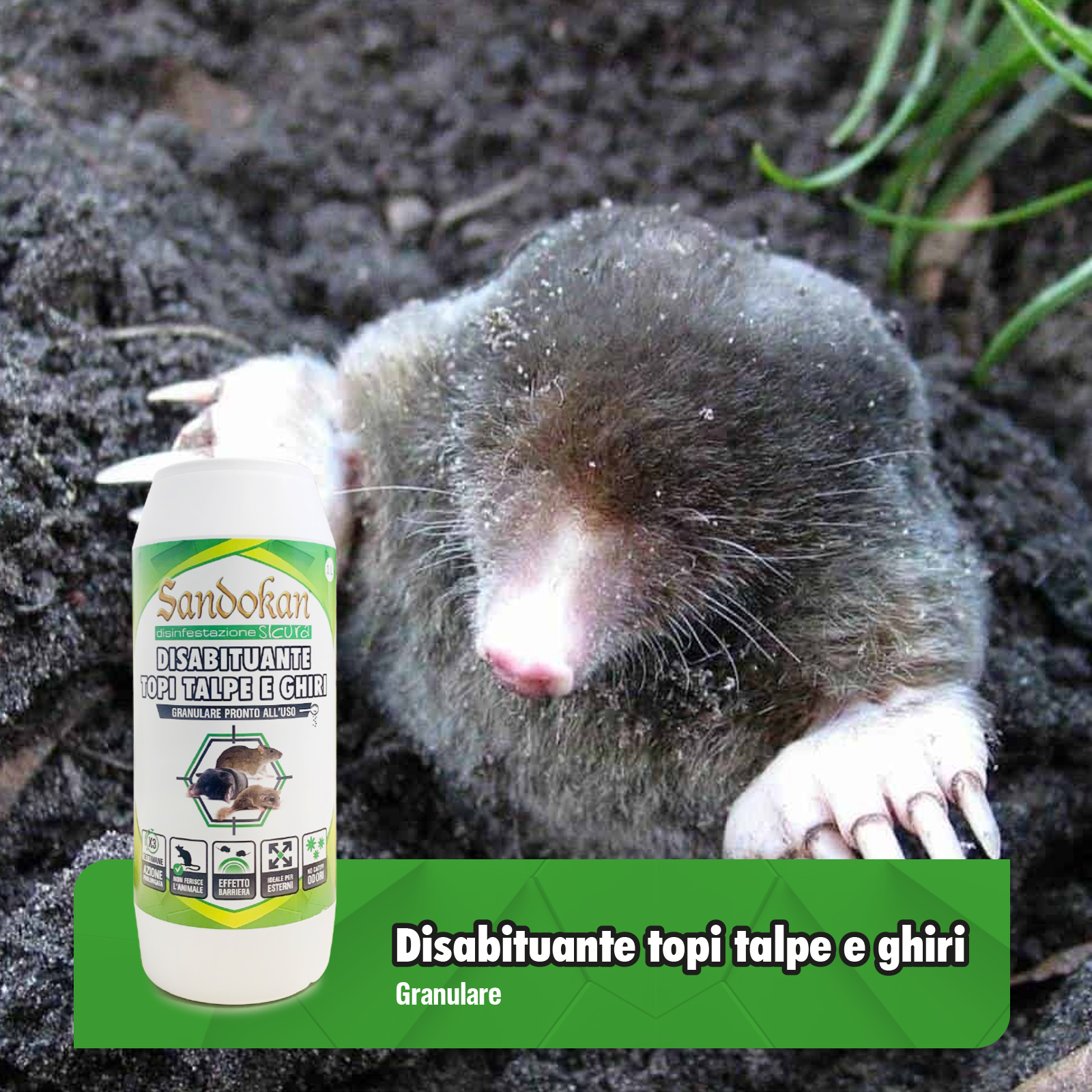 Disabituante per arvicole e ratto e talpa e topo SANDOKAN granulare 1KG - 2