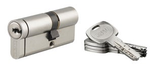 THIRARD - Demi-cylindre De Serrure Trafic 6, 30x10mm, Anti