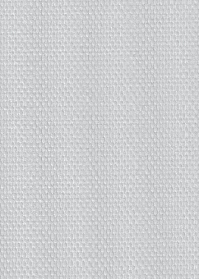 Toile de verre maille standard 95 g/m² l.1 x L.25 m G137N - TASSOGLAS