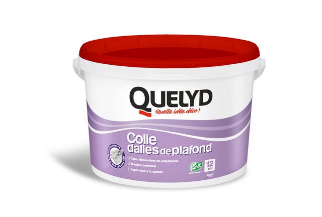Colle dalles de plafond en pâte 4 kg - QUELYD