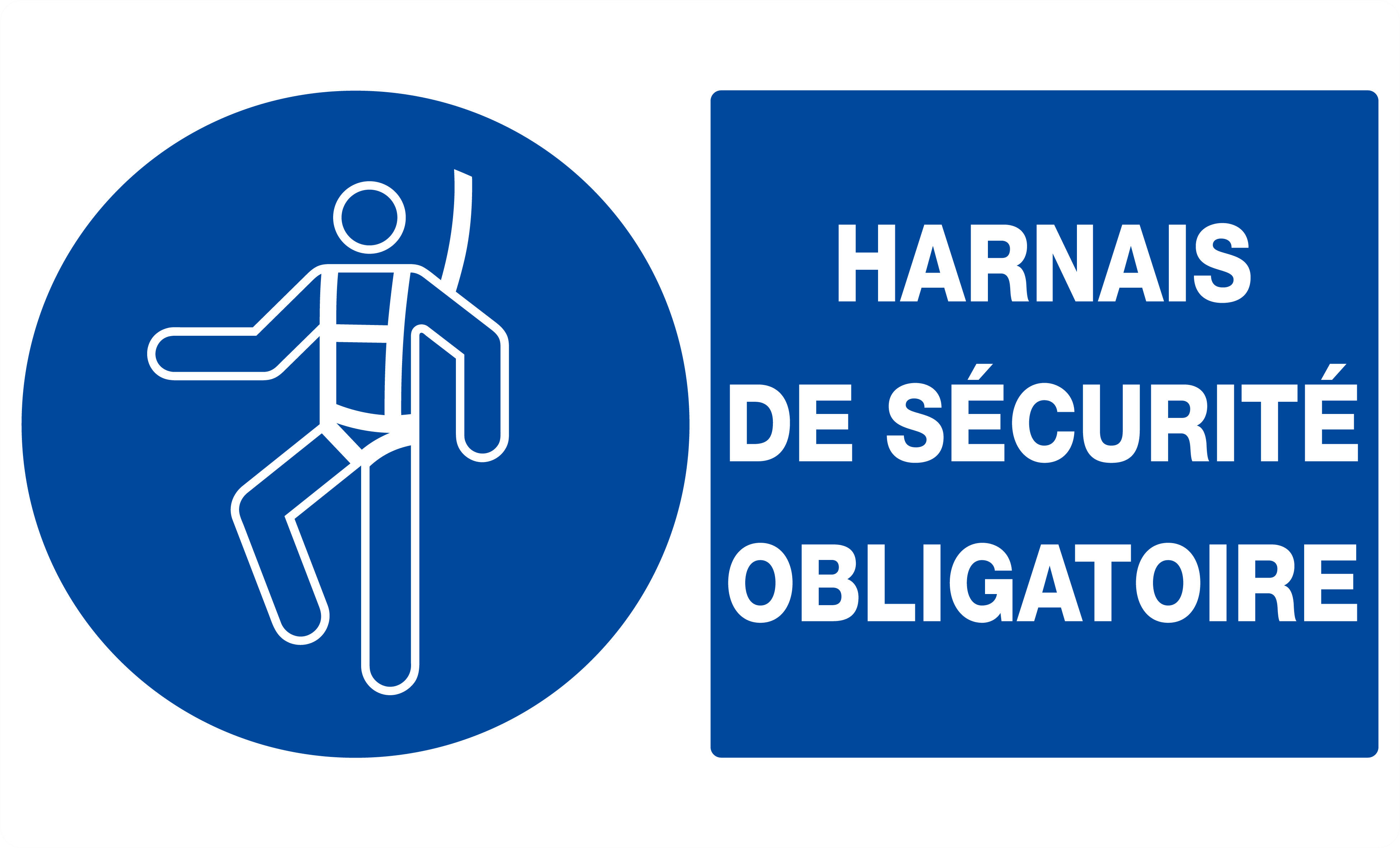Panneau Harnais De S curit Obligatoire L 330xl 200 Mm Bricoman