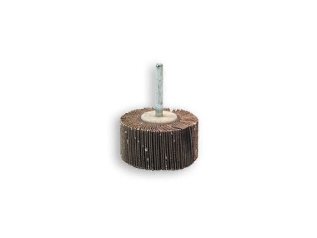 Roue à lamelles tige 50 x 20 x 6 mm A120 - SEA