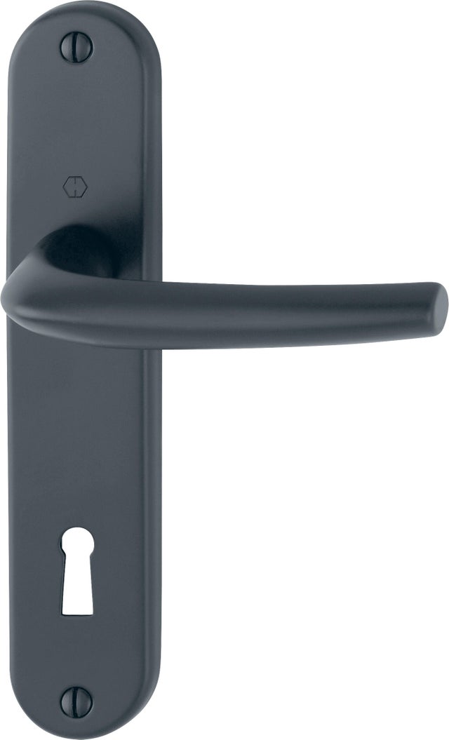 Poignée de porte sur plaque noire entraxe 165 mm Clé en en L SAN DIEGO x2 - CHAINEY 