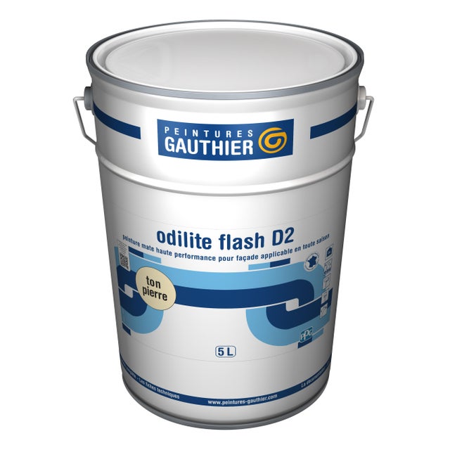 Peinture façade D2 acrylique mat ton pierre 5 L Odilite flash - GAUTHIER
