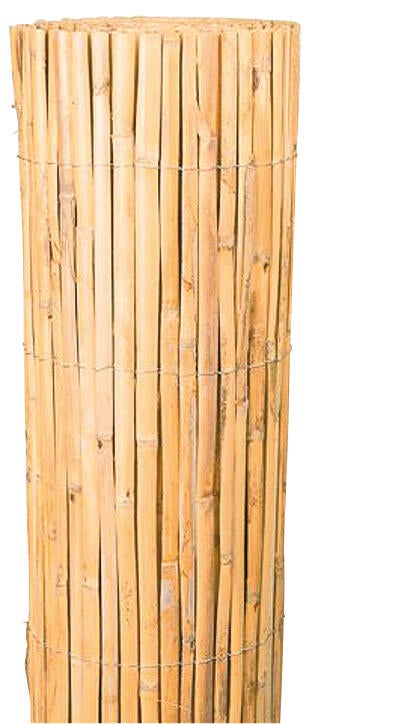 CANISSE ROSEAU FENDU 1,5X5M
