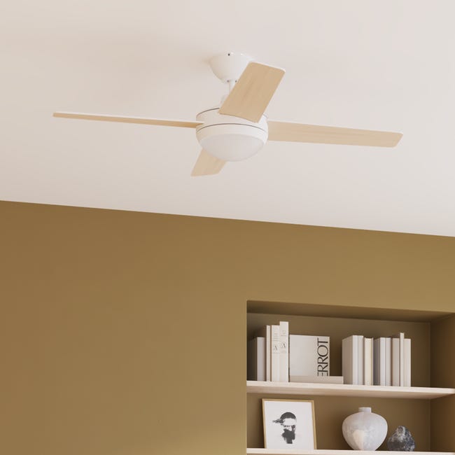 Ventilatore da soffitto & Wi-Fi - SRL Ventilatore da soffitto & Wi-Fi - SRL