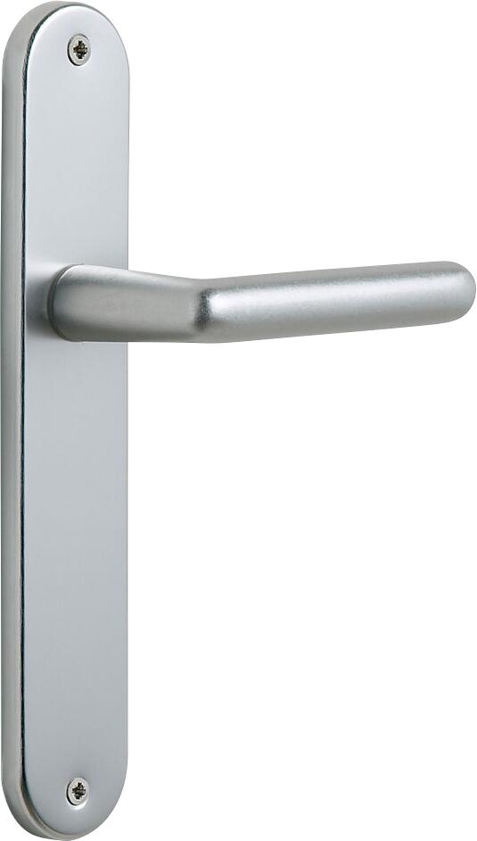 Poignée de porte sur plaque grise entraxe 195 mm Clé en en I THONON x2 - CHAINEY 