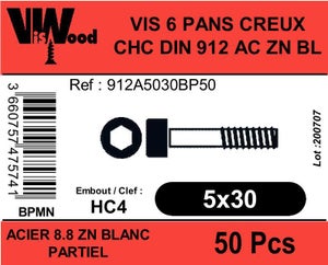 Lot De 10 Vis Inox Tête Fraisée Six Pans Creux 5x30 Mm – Visserie Générique