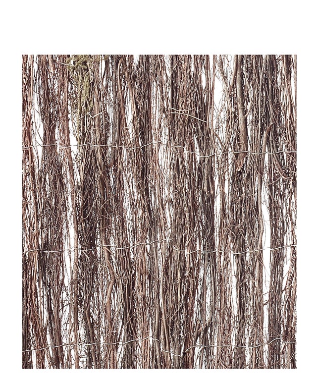 BRANDE DE BRUYERE FINE 2X5M