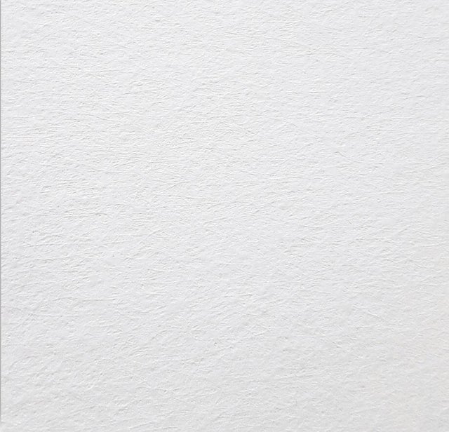 Toile de verre prépeinte thermo-acoustique lisse Ep.3 mm l.1 x L.10,4 m - RENOVANEUF