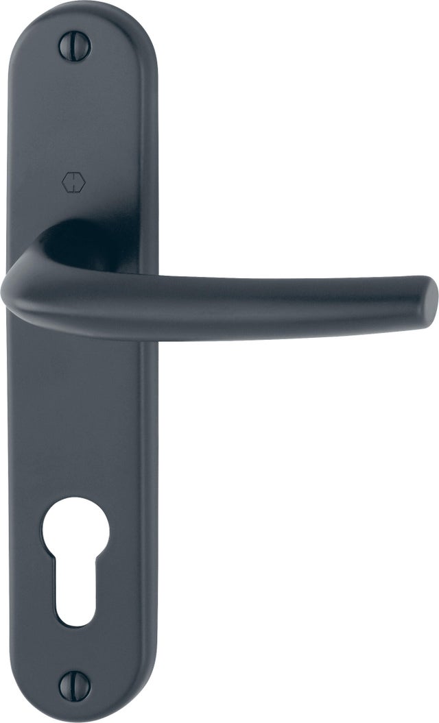 Poignée de porte sur plaque noire entraxe 165 mm Clé en en I SAN DIEGO x2 - CHAINEY 