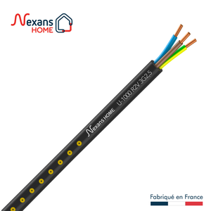 AUPROTEC Câble Multiconducteur Pour L'automobile/remorque 5m, 10m, 20m Ou 50m Choix: (20m Mètre, 3 Fils: 3 X 1.5 Mm² Câble Méplat