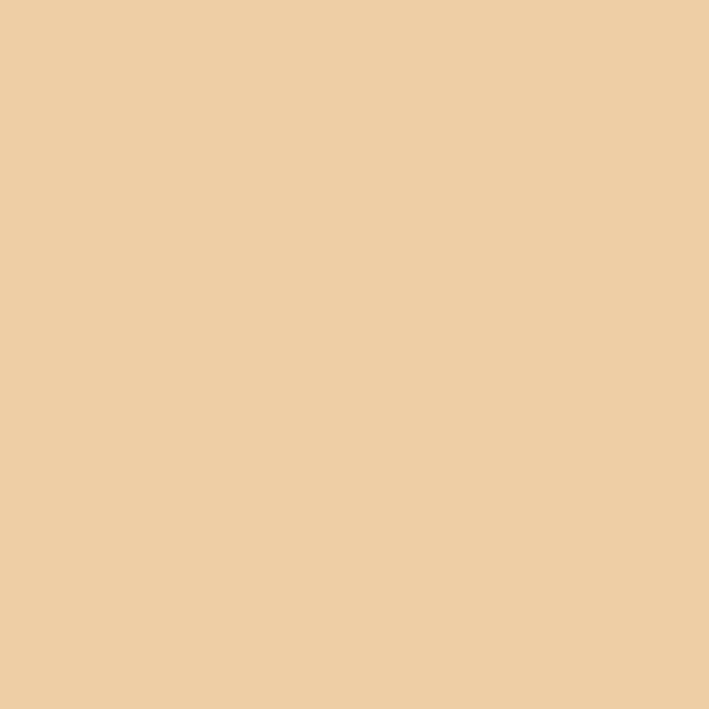 Peinture intérieure satin beige enya teintée en machine 10 L Altea - GAUTHIER