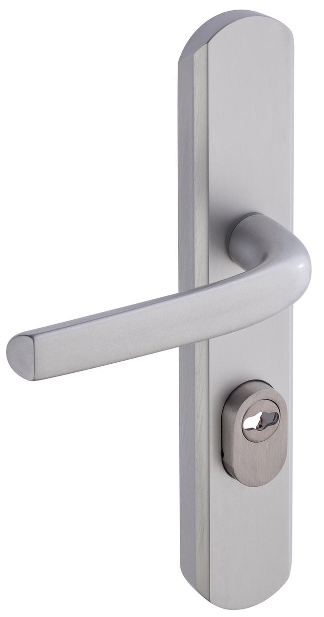 Poignée de porte sur plaque grise SECUMAX x2 - VACHETTE 
