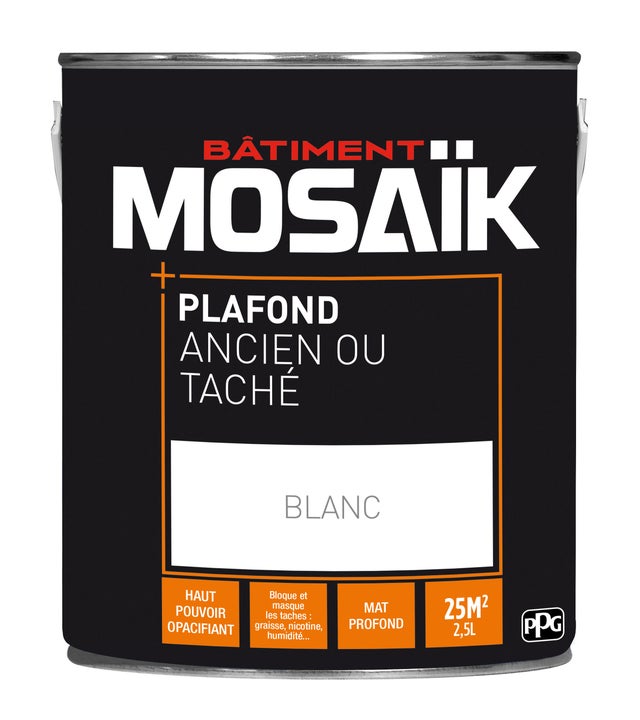 Peinture plafond ancien ou taché glycéro mat blanc 2,5 L - MOSAÏK