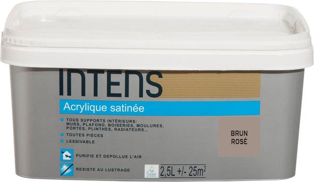 Peinture intérieure multi-supports acrylique monocouche satin brun rosé 2.5 L - INTENS
