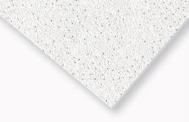 Lot de 16 dalles plafonds BD l.600 x L.600 mm Thermatex Feria