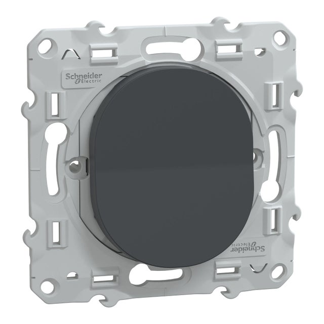 Interrupteur poussoir OVALIS 2 - SCHNEIDER ELECTRIC
