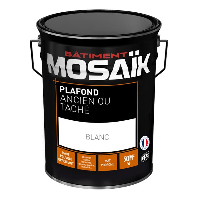 Peinture plafond ancien ou taché glycéro mat blanc 5 L - MOSAÏK