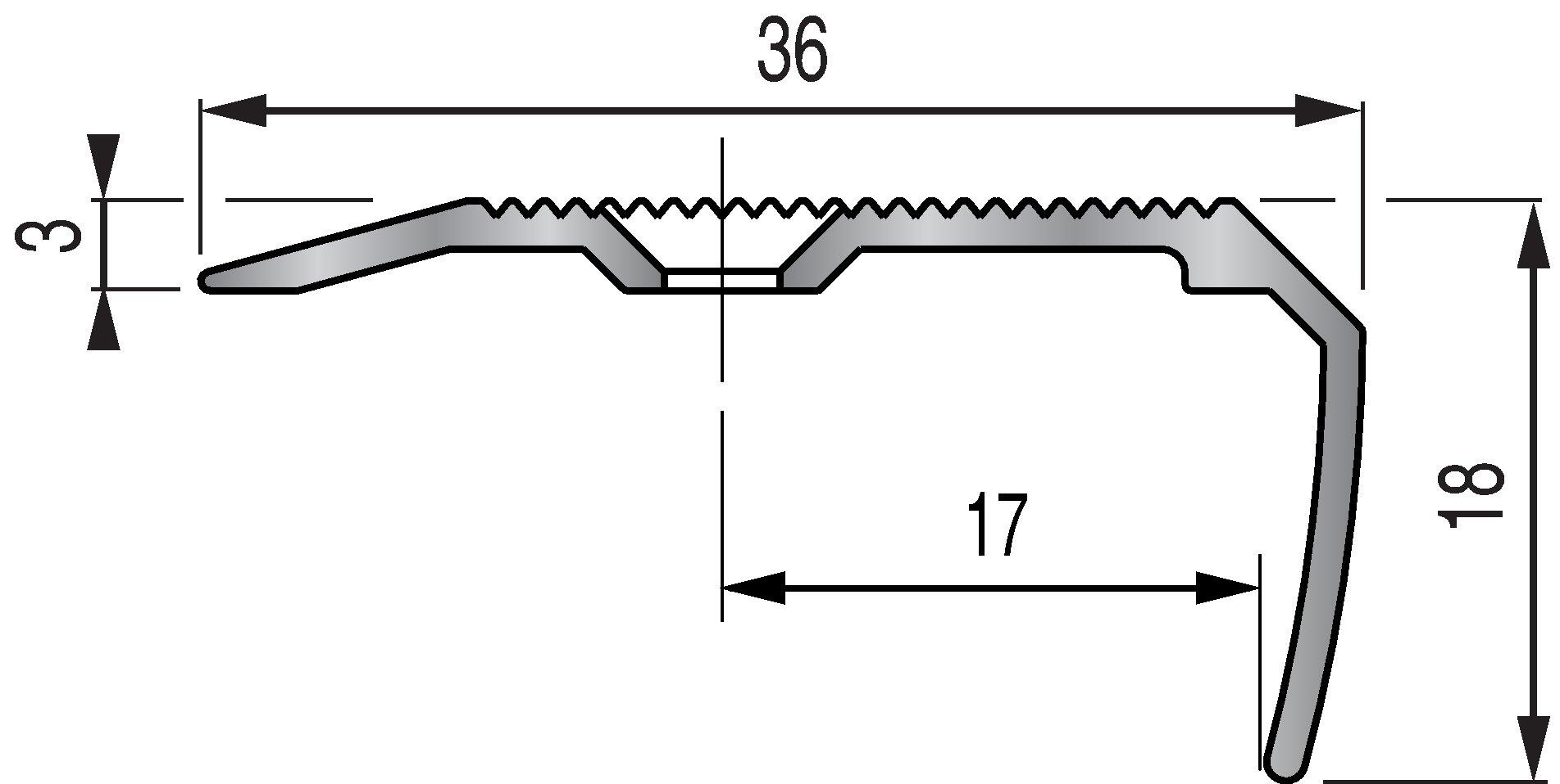 Nez de marche aluminium strié à visser L.170 x l.3,60 cm Tecnis - 3