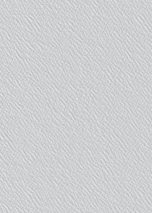 Toile de verre maille crépi 165 g/m² l.1 x L.25 m G115N - TASSOGLAS