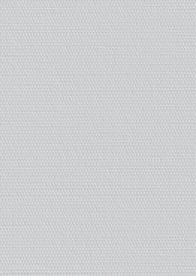 Toile de verre plafond 130g/m² l.1 x L.50 m G100N - TASSOGLAS