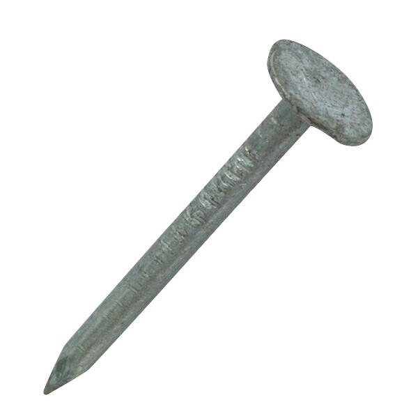 Pointe tête plate extralarge galvanisé Diam. 2,4 x 27 mm Boîte de 5kg